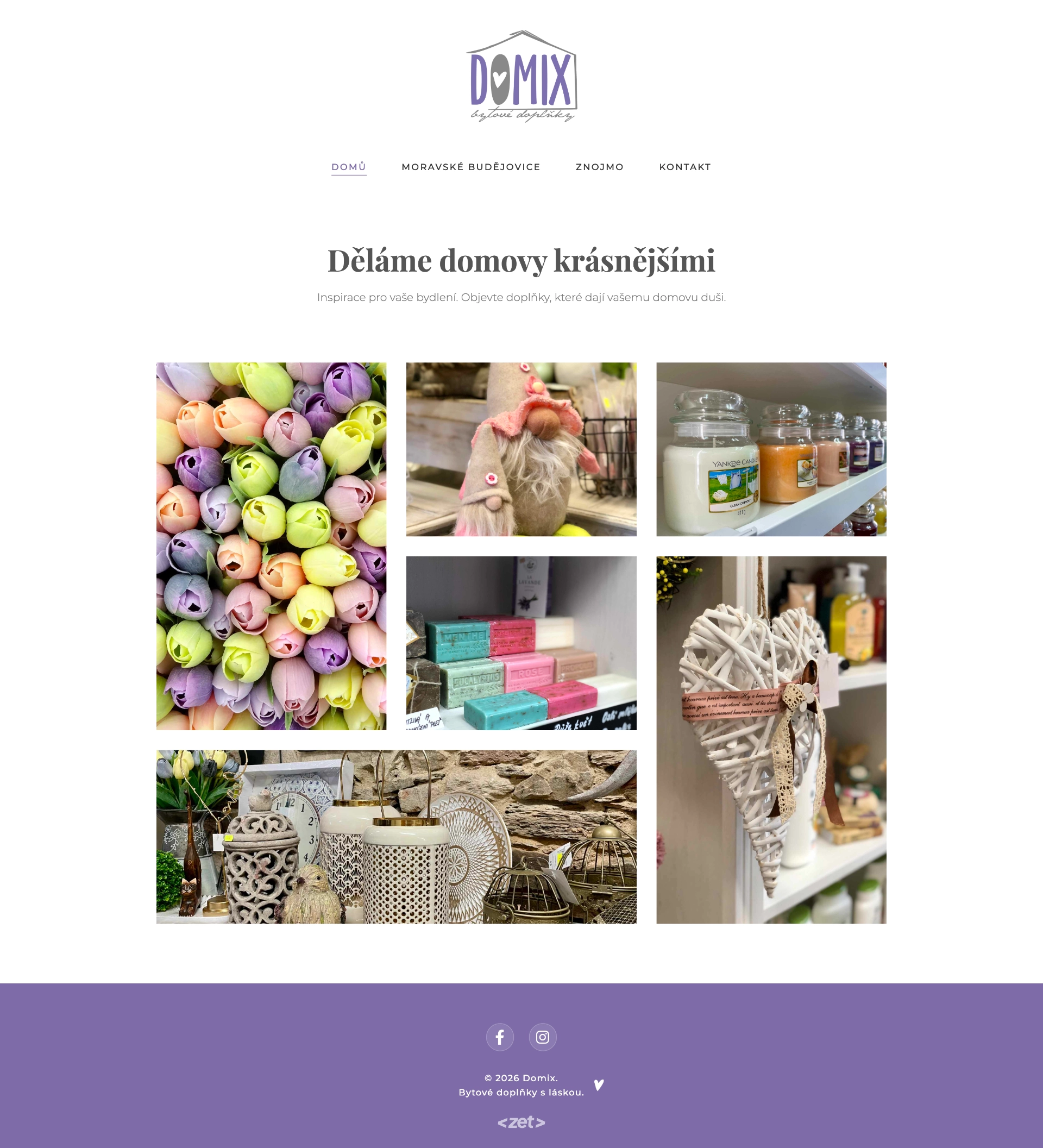 Domix web