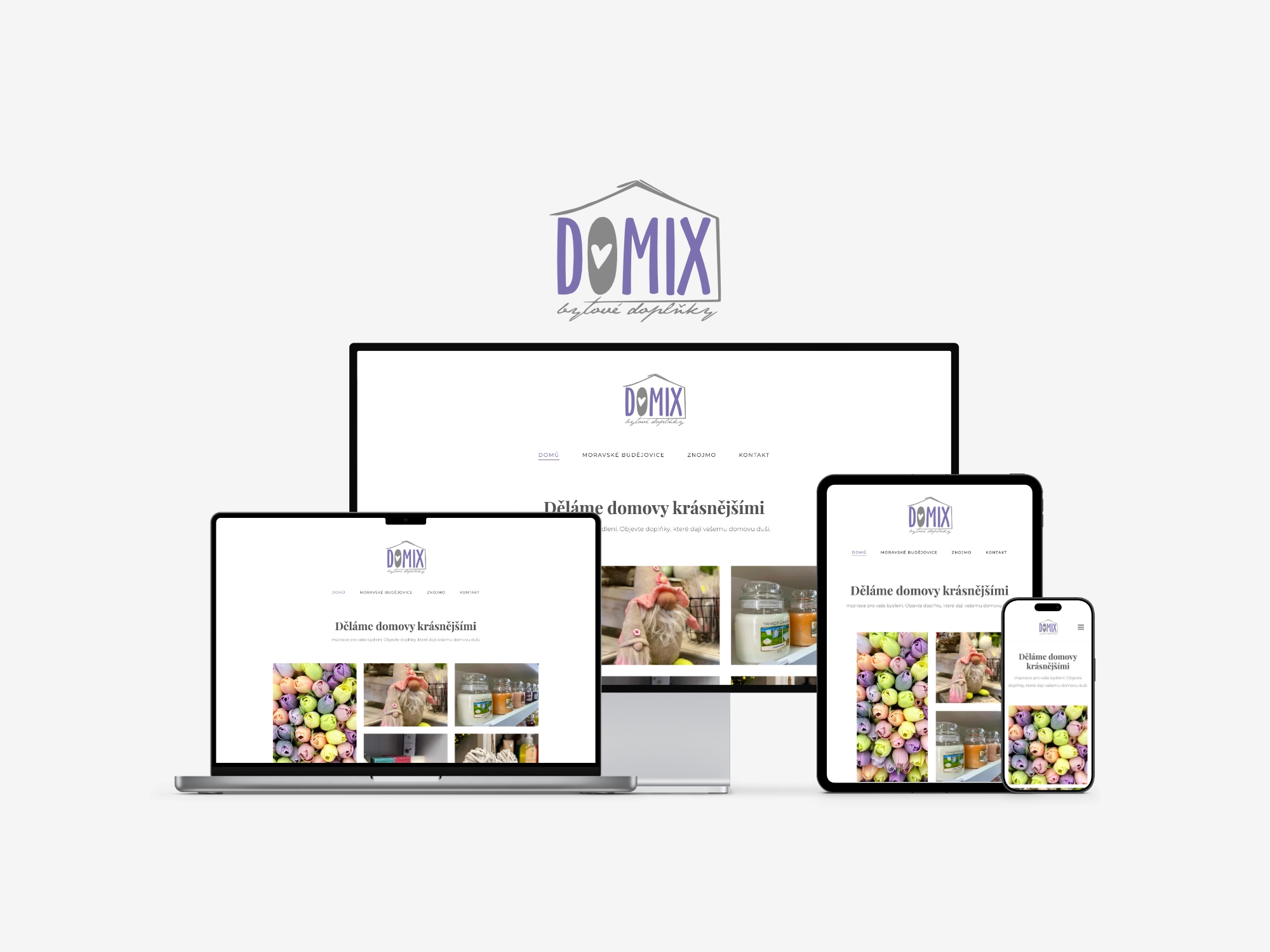 Domix mockup